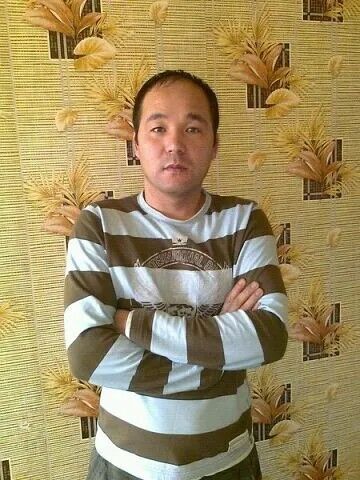  Alba Iulia,   Bek, 41 ,   ,   