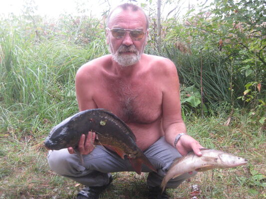  ,   , 62 ,   