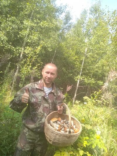  ,   Roman, 49 ,     , c 