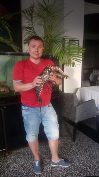  ,   , 46 ,   
