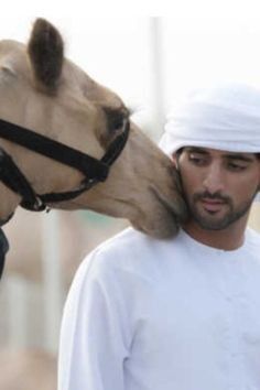  18356127  Hamdan sheik, 61 ,    New York City