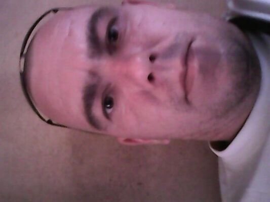  -,   , 41 ,   