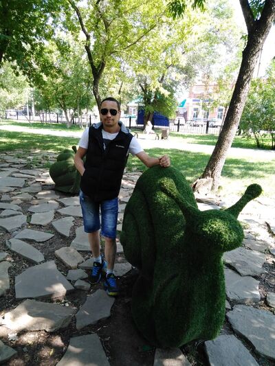 ,   , 52 ,   ,   