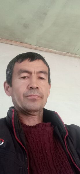  ,   , 49 ,   ,   