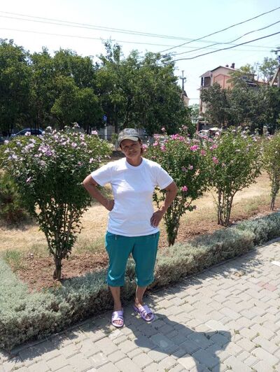  ,   , 58 ,   