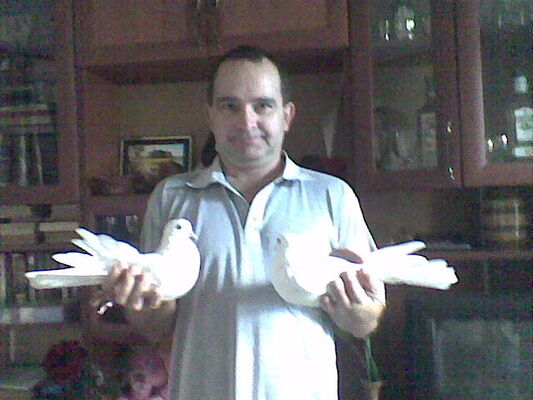  ,   , 46 ,   