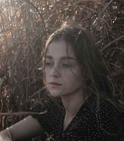  --,   , 22 ,   ,   , 