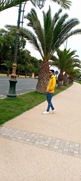  ,   Hola, 28 ,   ,   