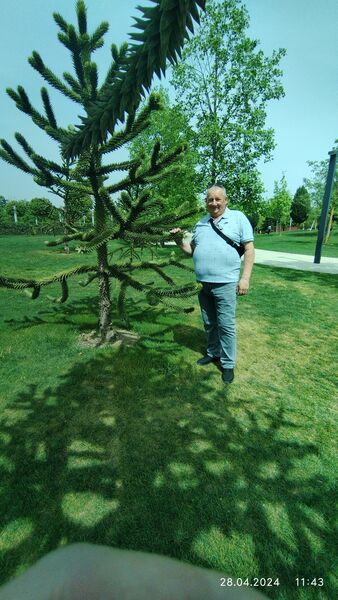  ,   , 57 ,   ,   