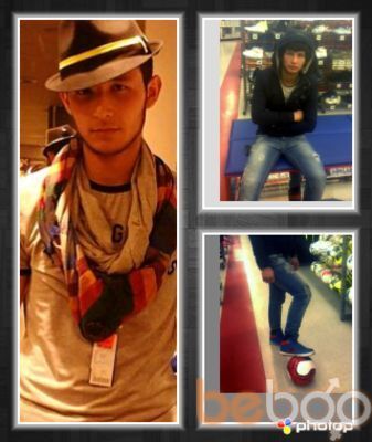  ,   Daler, 33 ,     , c 