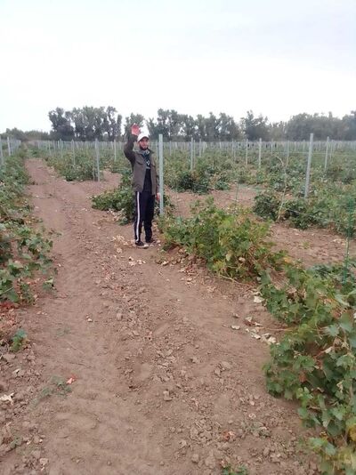  ,   , 28 ,     , c , 