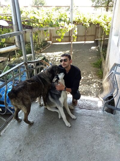  ,   Soso, 37 ,   ,   , c 