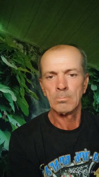  ,   , 50 ,     , c 