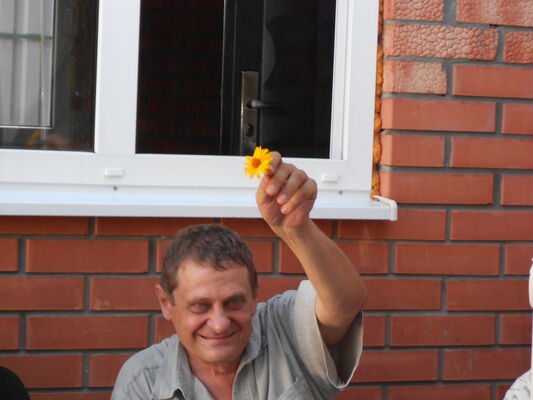  ,   , 65 ,   ,   