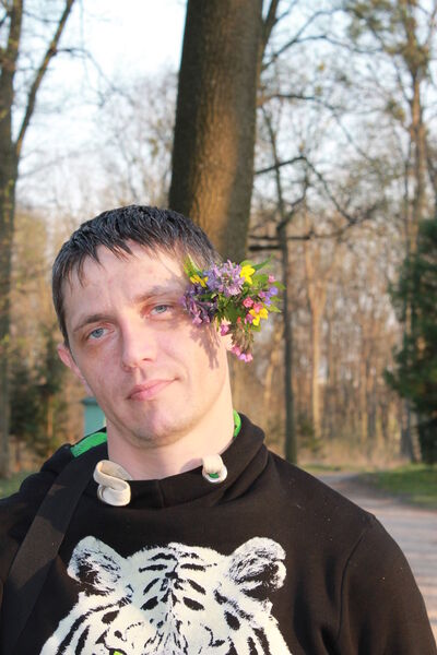   ,   , 42 ,  