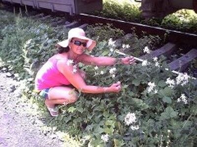 ���������� ��������, ���� ������� ���, 65 ���, ������������ ��� ������, ����� � ���������, c�������� ���������