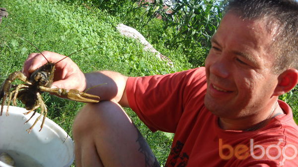  ,   Viktooo, 55 ,   