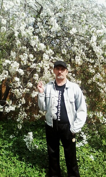  ,   , 61 ,   ,   , c , 