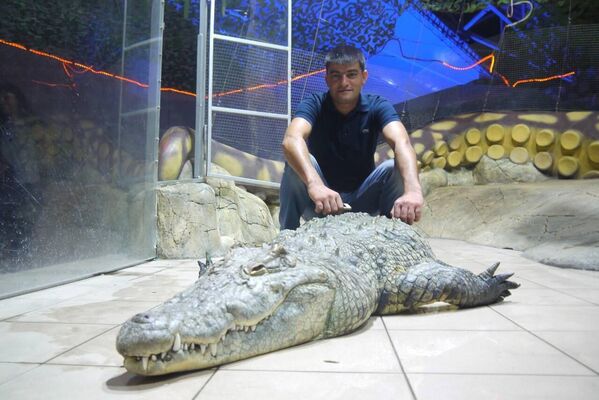  ,   Bahram, 37 ,   ,   , c 