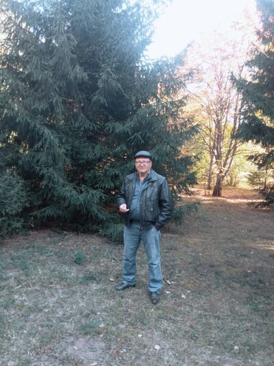  ,   Behti, 51 ,   ,   