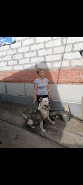  ,   , 56 ,   