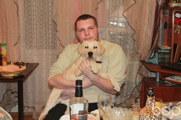 ���������� ������, ���� ������� �������, 36 ���, ������������ ��� ������, ����� � ���������, c�������� ���������