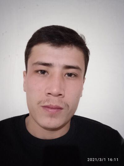  ,   Murodillo, 28 ,   ,   