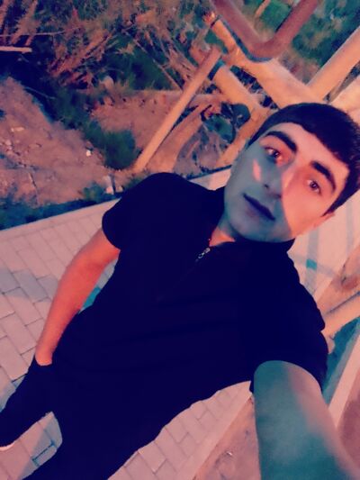  ,   Pet, 27 ,   ,   