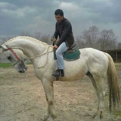  Guney,   , 38 ,   ,   , c , 