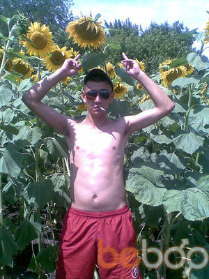  --,   , 38 ,   ,   , c , 