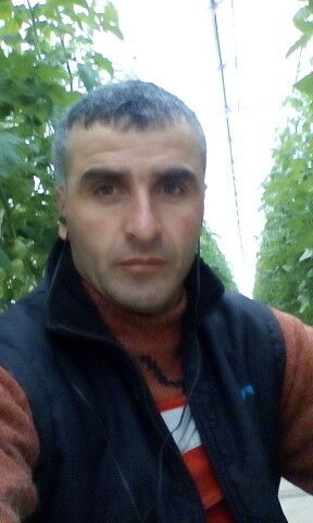  ,   MUSHVIQ, 46 ,   