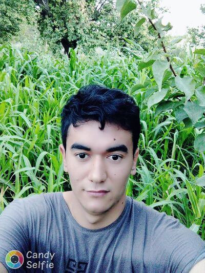  ,   Ali, 31 ,   ,   , c 