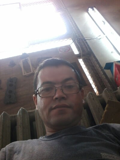  -,   TOLLI, 47 ,   ,   , c 