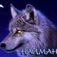  6511497  Aset, 42 ,    -