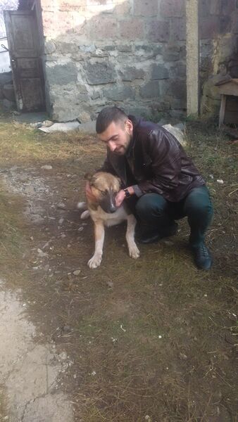  ,   Dangerous, 31 ,   