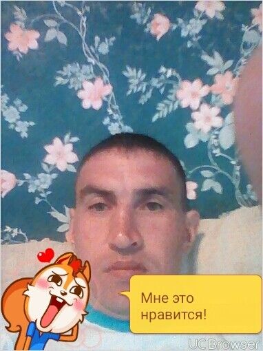  9806797  , 44 ,    