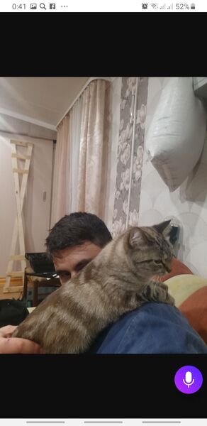 ,   , 32 ,   ,   , 
