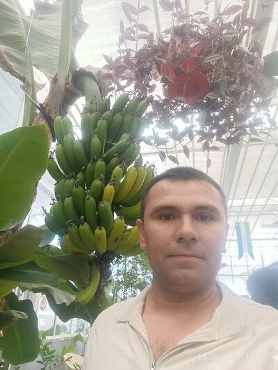  ,   , 41 ,   ,   , 