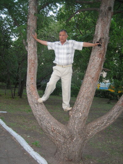  ,   Hasan, 64 ,   ,   , c 
