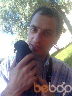  ,   Arteom, 48 ,   