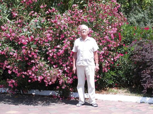  ,   , 76 ,   