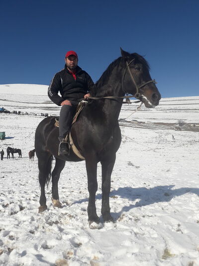  ,   , 42 ,   ,   , c 