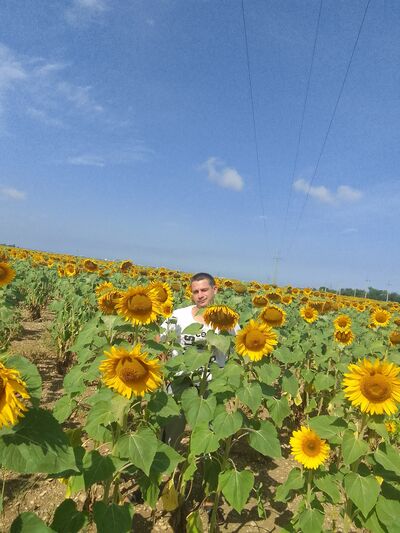  ,   Dmitry, 32 ,   ,   