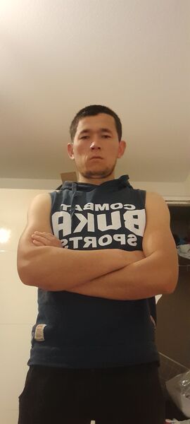  Dresden,   ALIBEK, 31 ,   ,   
