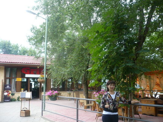  -,   , 46 ,   ,   , c 