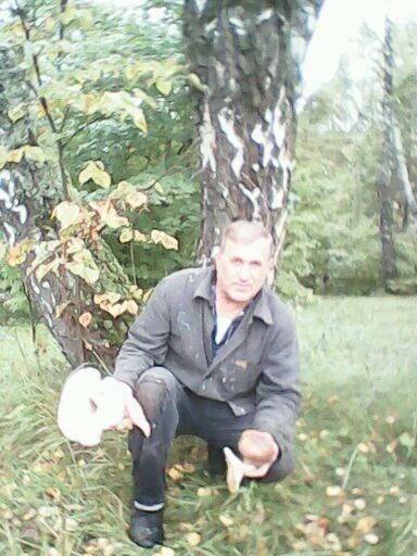  ,   , 64 ,   