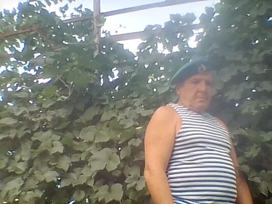  ,   , 61 ,     , c 
