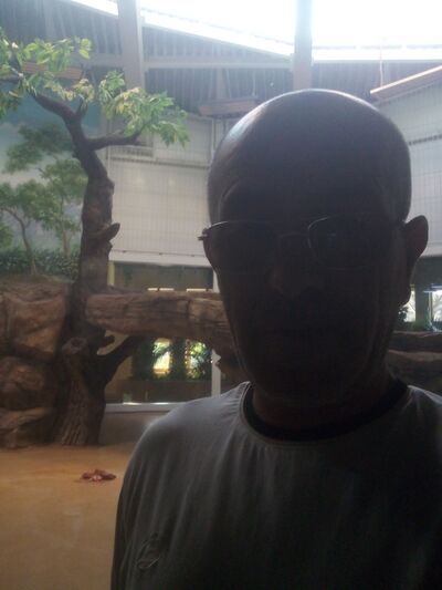  ,   , 55 ,     , c 