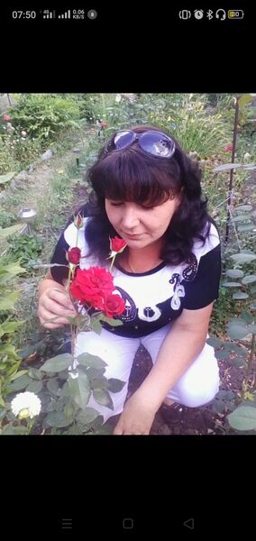  ,   , 52 ,     , c 