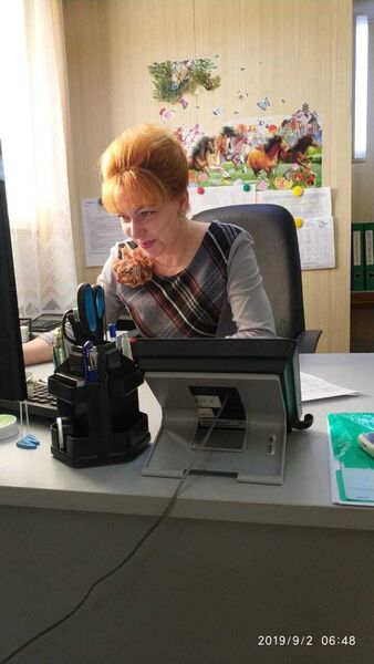  ,   , 50 ,   ,   , c , 